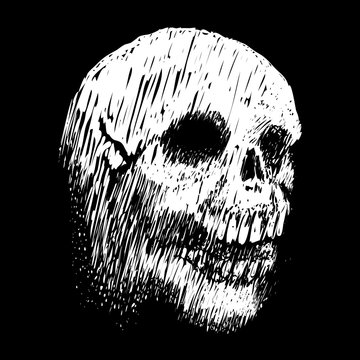 Human skull.   Abstract background. Grunge. Vector illustration.