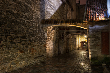 Fototapeta na wymiar Katariina kaik (St. Catherine's Passage) - half-hidden walkway in old town of Tallinn, Estonia