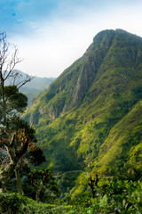 View from Little Adam's Peak. Mountain landscape in Sri Lanka,Little Adam's Peak Ella, Sri Lanka