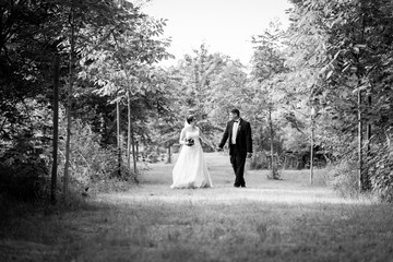 Glückliches Brautpaar beim spazieren am Hochzeitstag im Park, Wald