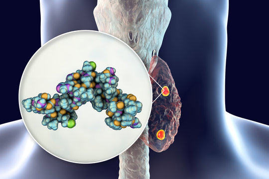 Human parathyroid hormone