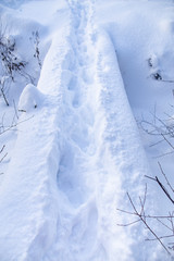 A small, narrow bridge with a path trampled down in deep snowdrifts goes through a frozen and snow-covered stream.