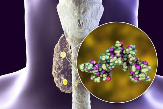 Human parathyroid hormone