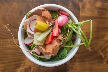 Compost Bowl Full of Organic Food Waste Such as Eggshells, Swiss Chard, Beet Tops and More