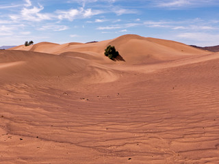 Fototapeta na wymiar Eine extreme und wunderschöne Landschaft ist die Wüster Sahara im Süden von Marokko
