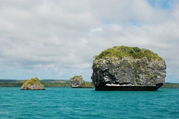 Fototapeta premium caled52