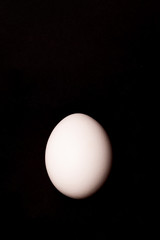 White contrast egg with visible texture on black background. Easter concept.