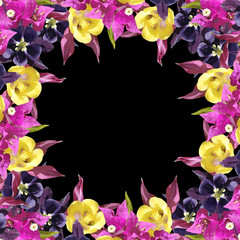 Beautiful floral background of Bougainvillea and Aquilegia 