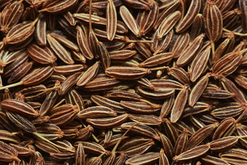 dry Caraway Seed