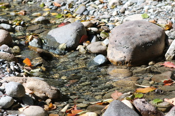 stones in the water