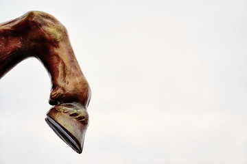 Horse leg with hoof on white background. Lots of space for your text. - obrazy, fototapety, plakaty