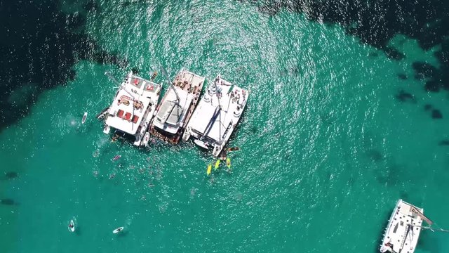Aerial view pan down catamaran sailboats at lagoon showing young people partying and having fun on and off deck diving off into the clear and refreshing azure ble water typical spring break scene 4k