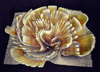  Painted aster flower made of cloth with your own hands. Light brown, gray material on a black. Object hobby, crafts. Effect oil paint on a paipe. Abstract illustration on a picture. Digital art.
