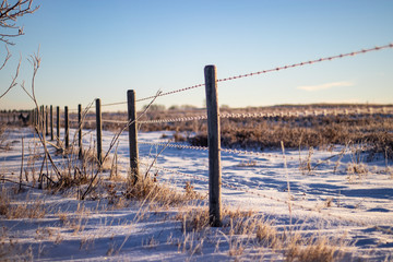 Lone wire fencing amidst the frost and white snowfall beneath bright skies