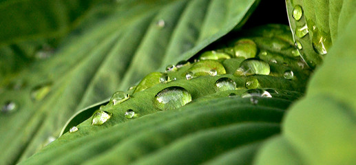 Droplets 2