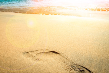 Beautiful footprints on the beach in nature by the sea