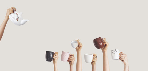 Hands holding different cup on isolated background