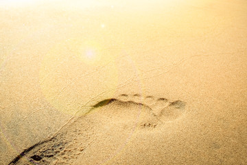 Beautiful footprints on the beach in nature by the sea