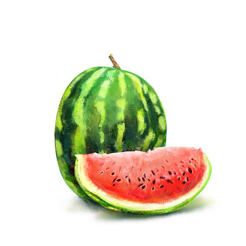 Watermelon. Watermelon drawing isolated on white background