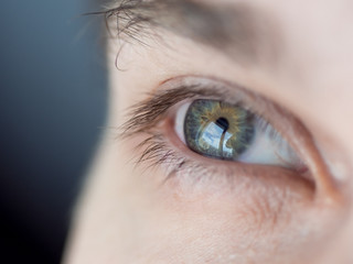 Human eye close-up. Macro photo of blue eye.