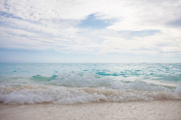 Beach. sea relaxation landscape