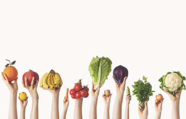 Hands holding different vegetables on isolated background