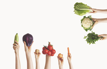 Hands holding different green vegetables on isolated background