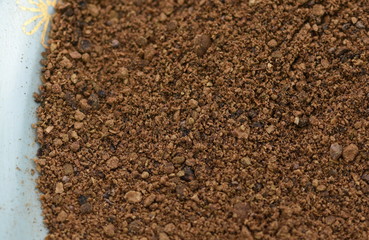 allspice powder and wooden spoon 