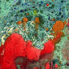 Fototapeta premium Gorgeous textured images of old marbled paper. Abstract grunge vintage background with genuine original marbleized effect. Red and green colors.