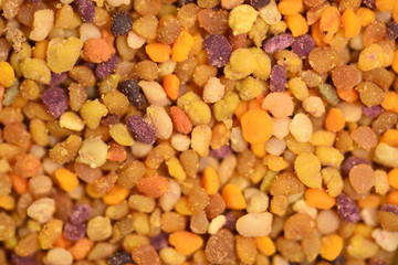  pile of bee pollen 