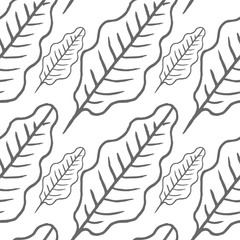 Obraz premium leaf vector seamless pattern isolated on white background