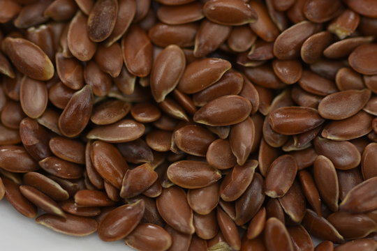 FLAX SEED,seminte de  in