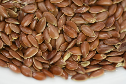FLAX SEED,seminte de  in