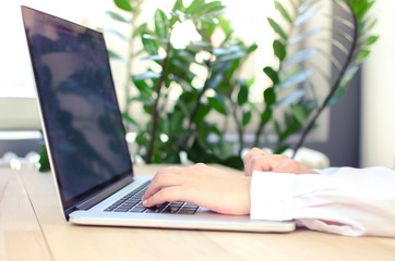 Female hands in white shirt typing on laptop keyboard in a sunny office