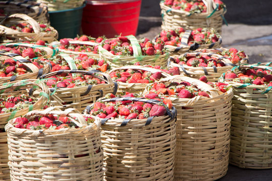 canastas de fresa