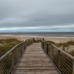 Walkway to the Beach 