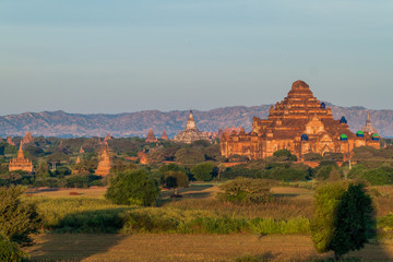 Skyline of temples in Bagan, Myanmar. Dhammayangyi Temple.