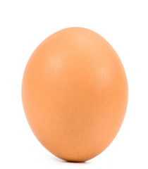 .chicken egg on white background