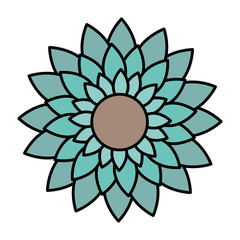 natural flower decoration