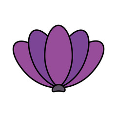 natural flower decoration