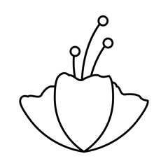 natural flower decoration