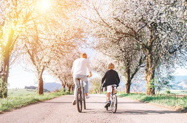 Father and son iding bicycles on country road under blossom trees. Healthy sporty lifestyle concept image.