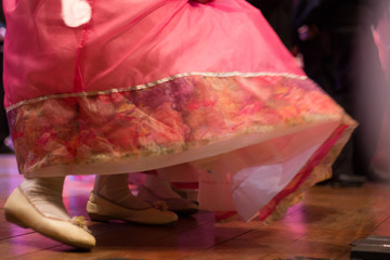 saia rodada © Isabel Vianna