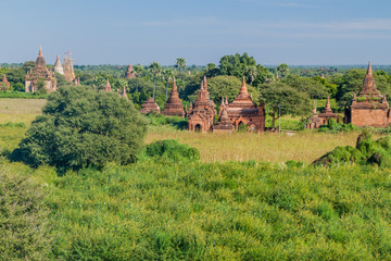 Fototapeta na wymiar Row of small temples in Bagan, Myanmar.
