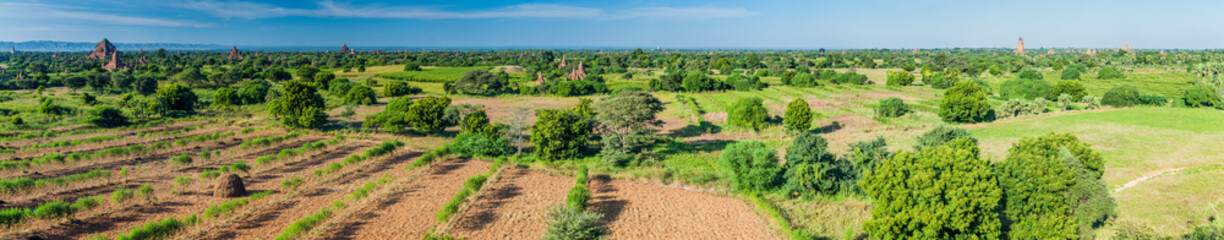 Fototapeta na wymiar Skyline of temples in Bagan, Myanmar