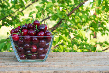 A glass bowl with ripe cherries stands on a table made of planks against a background of an orchard. Copy space.
