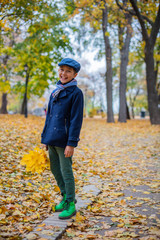 Beautiful child boy in the autumn nature