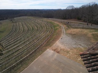 Fototapeta premium Winter Vineyard