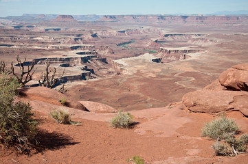Fototapeta na wymiar View over Canyon Lands with bushes in front