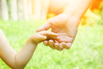 beautiful hands of a child and a parent in a park in nature